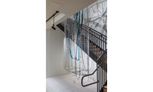 Renata Daina Cover Image